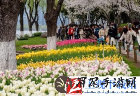 二十分钟公园效应是谁提出的