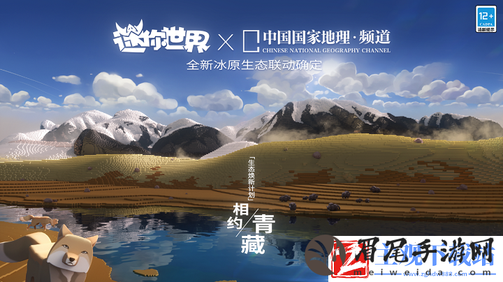 新玩法、新联动