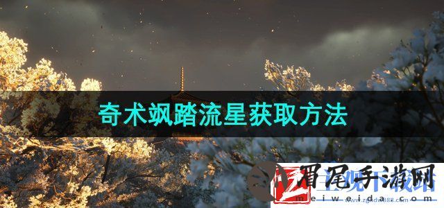 燕云十六声奇术飒踏流星怎么获得