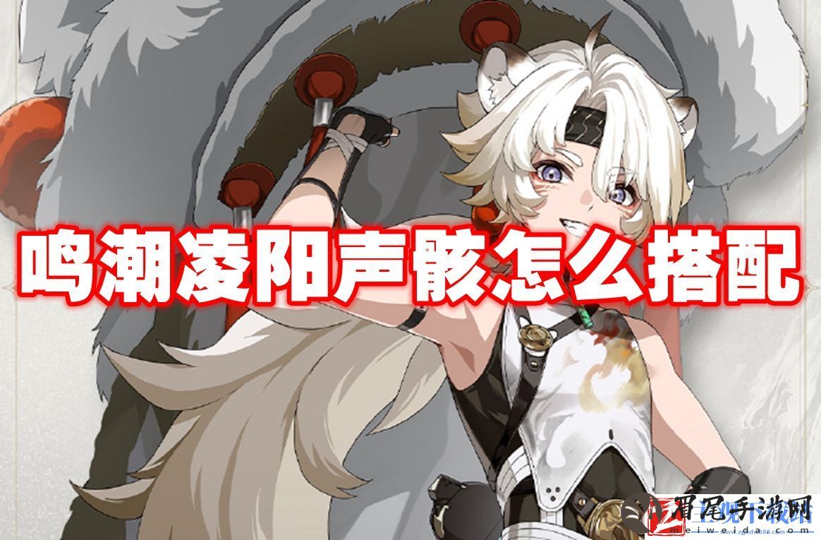 鸣潮凌阳声骸怎么搭配