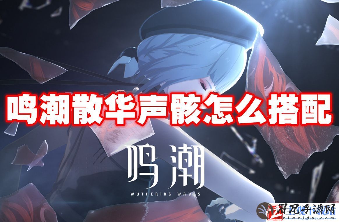 鸣潮散华声骸怎么搭配