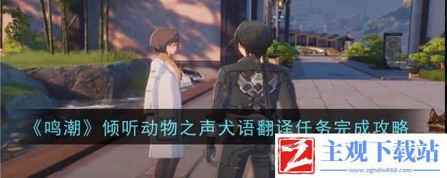 鸣潮倾听动物之声犬语翻译任务完成攻略：装备属性对比与选择策略