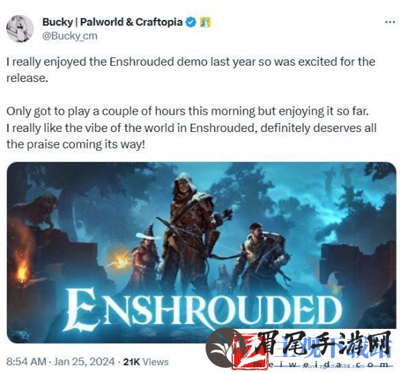 幻兽帕鲁社区经理称赞“雾锁王国”：值得所有赞美
