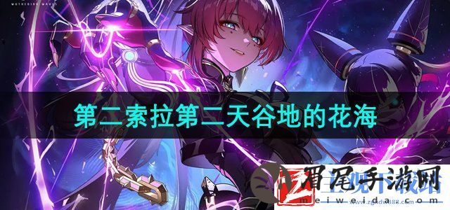 鸣潮手游第二索拉第二天提交物品是什么