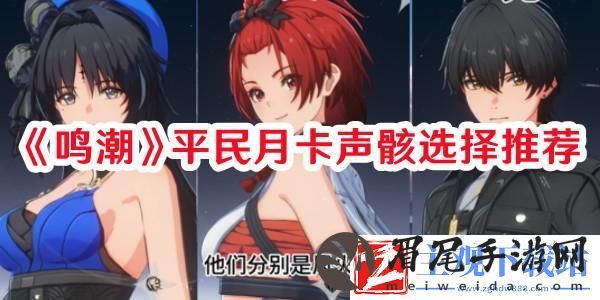 鸣潮平民月卡声骸怎么选择：快速上手和掌握游戏技巧