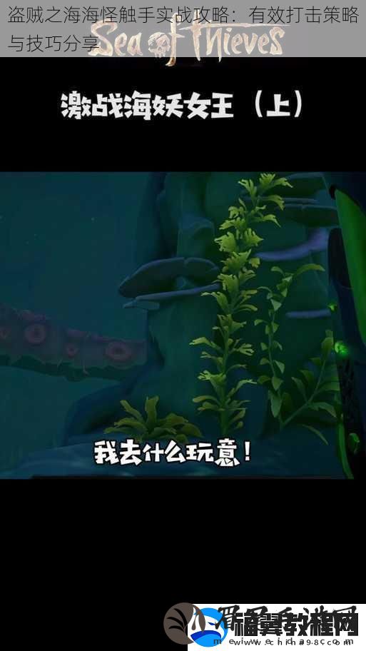 盗贼之海海怪触手实战攻略：有效打击策略与技巧分享