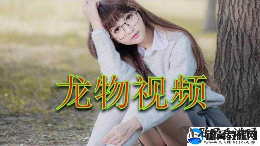 YW193-龙物：探索未知的世界
