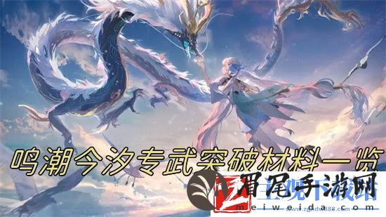 鸣潮今汐专武属性是什么