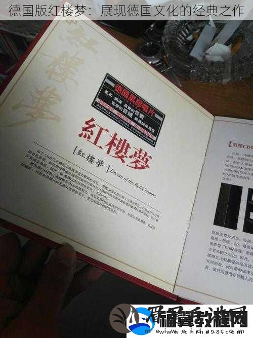德国版红楼梦：展现德国文化的经典之作
