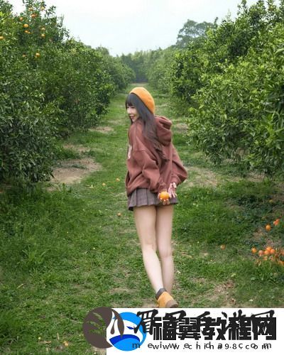 韩国理论大全