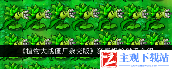 植物大战僵尸杂交版狂野机枪射手介绍