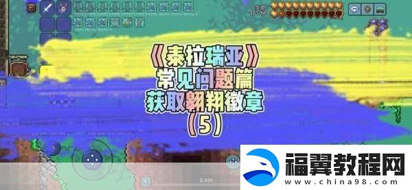 泰拉瑞亚天界柱挑战攻略