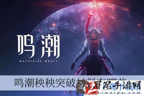 鸣潮秧秧突破材料有哪些-鸣潮秧秧突破材料一览