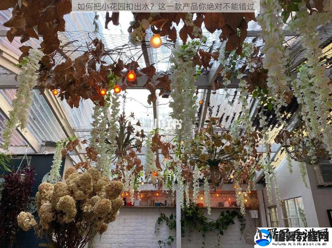 如何把小花园扣出水-这一款产品你绝对不能错过