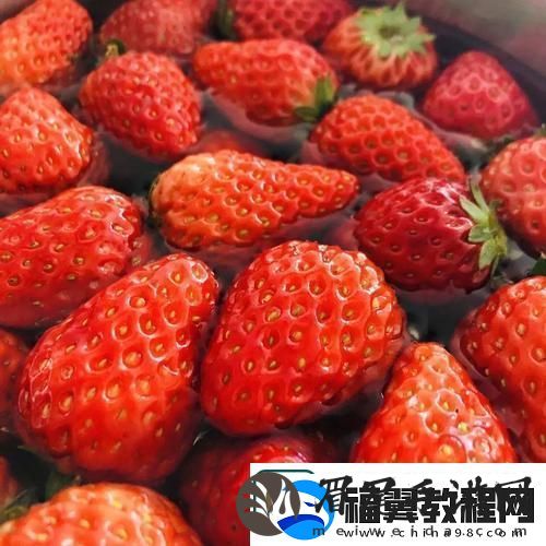 草莓视频色多多