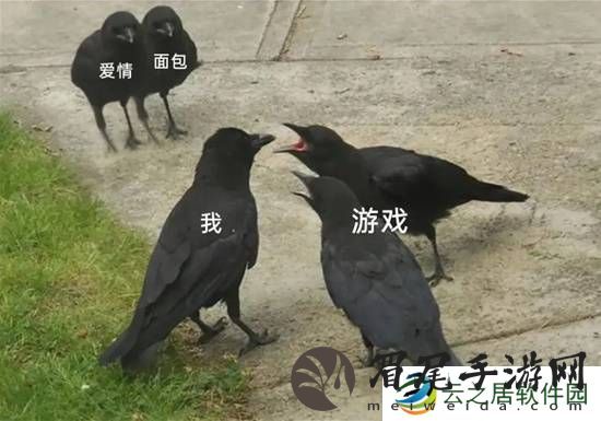 本站