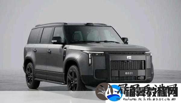 497799欧洲版的国产suv有什么特点