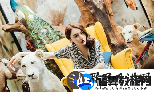 成都私人情侣免费看电视剧的软件：如何找到最适合你们的观影平台