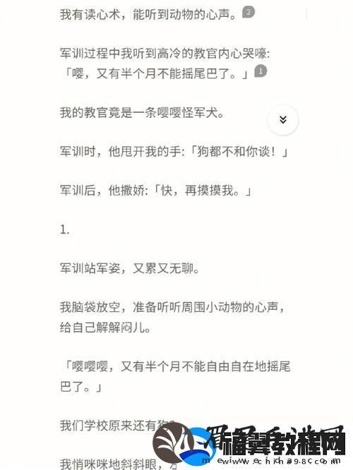 内容丰富爽