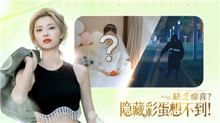 僵尸毁灭工程中文输入法动不了-解决方案与常见问题解析