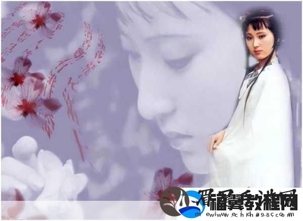 宝玉林黛玉初尝风雨的解读
