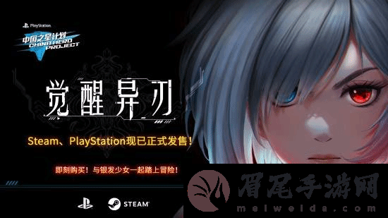 本站