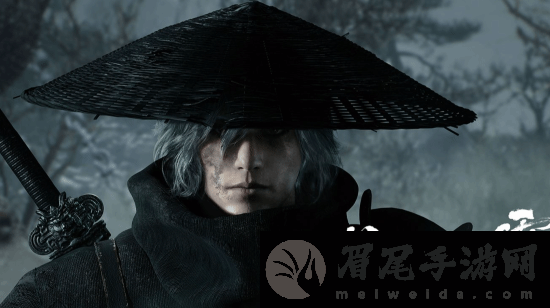 本站