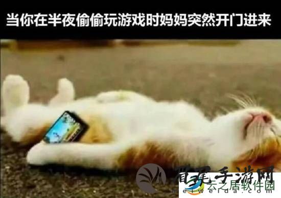 本站