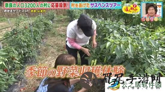 本站