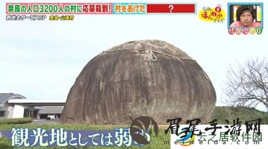 本站