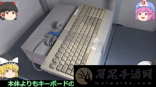 本站