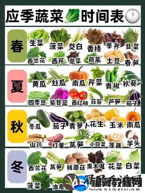 草莓丝瓜榴莲秋葵黄瓜丝——奇妙食材的独特组合