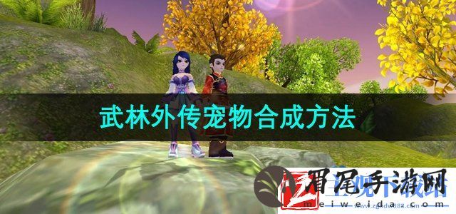 武林外传宠物怎么合成-宠物合成方法