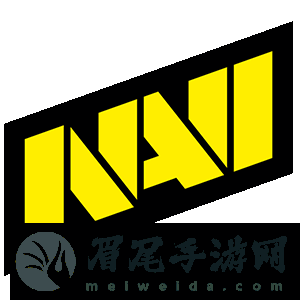 NAVI解散旗下女子战队NAVI-Javelins