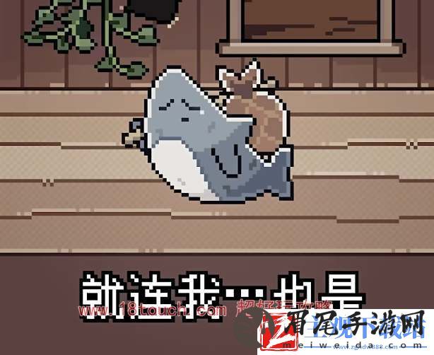 我的小鲨鱼所有结局达成攻略