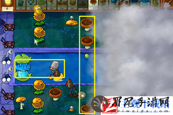 植物大战僵尸杂交版冒险19关怎么过