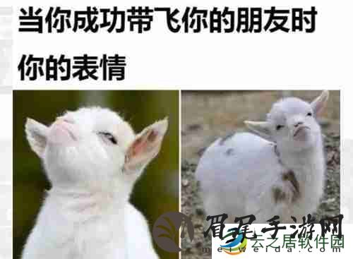 当你成功带飞你的朋友时表情包
