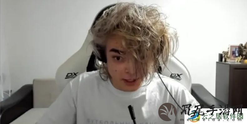 rostislav_999在Twitch上的频道已被解封