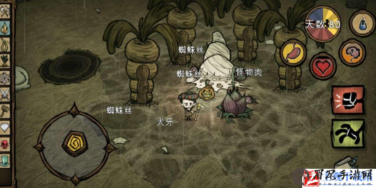 饥荒怎么自动刷蜘蛛网