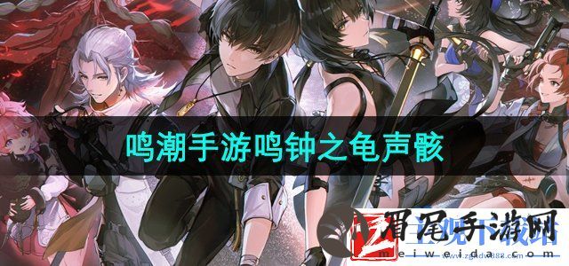 鸣潮鸣钟之龟声骸怎么样