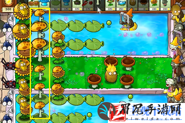 植物大战僵尸杂交版冒险15关怎么过