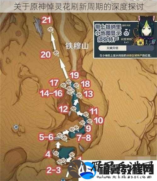 关于原神悼灵花刷新周期的深度探讨