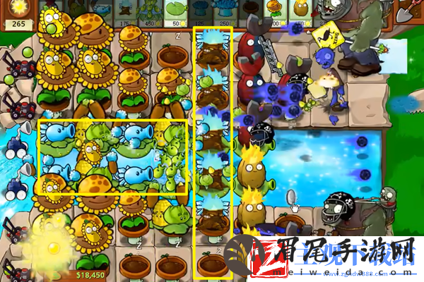 植物大战僵尸杂交版冒险23关怎么过