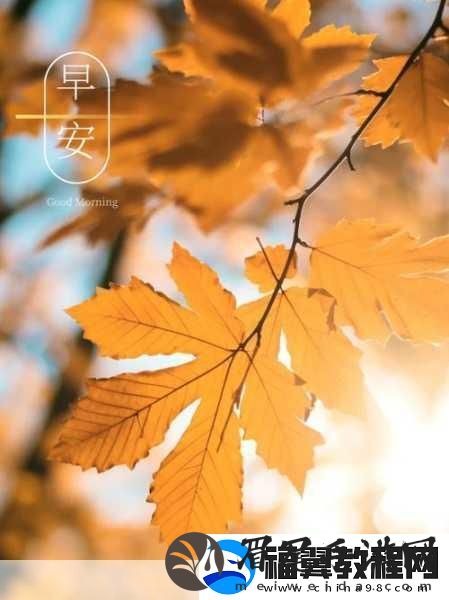 填得很满感觉知乎