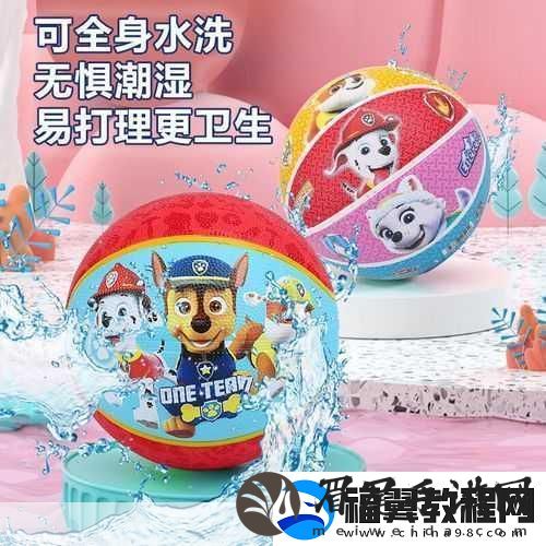 我是篮球队的公共玩具