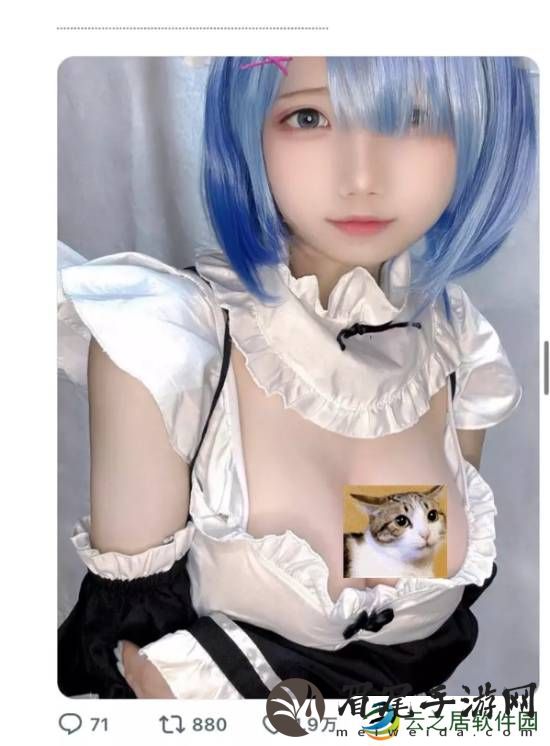 本站