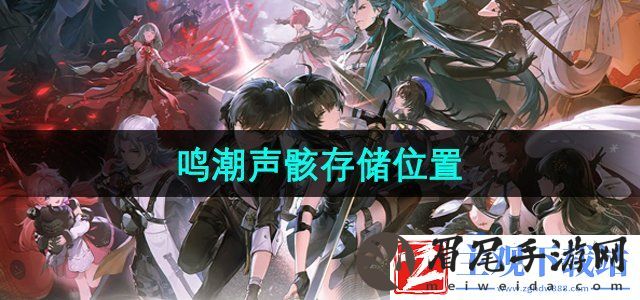 鸣潮手游声骸存储在哪