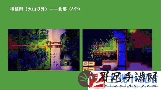 星露谷物语金核桃在哪