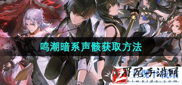 鸣潮手游暗系声骸怎么获得