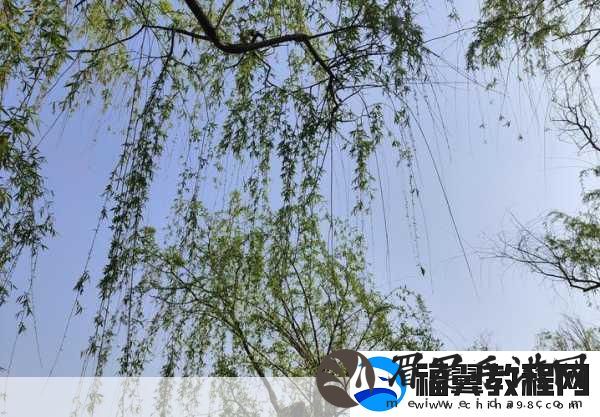 填得很满感觉知乎-1.-如何在生活中填得更满-享受每一刻